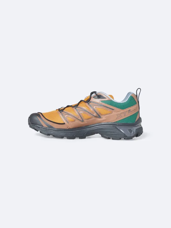 Shoes Xt-6 Expanse 75Th